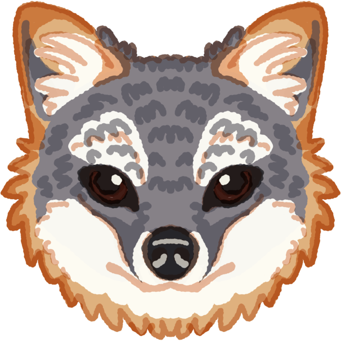 a front facing catalina island fox. it is symmetrical and has gray and reddish fur, with shading and highlights.